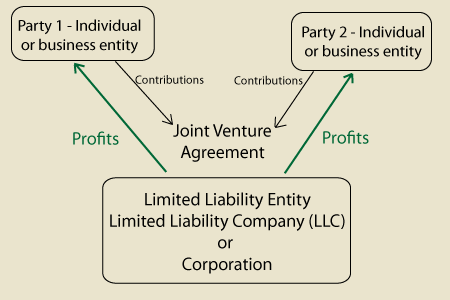 structuring joint venture, limited liability